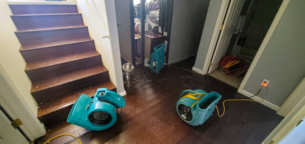Best Water damage restoration cost  in Barrington, IL