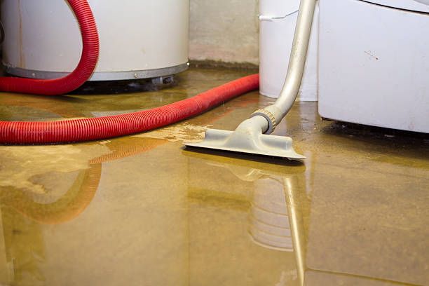 Best 24/7 water damage repair  in Barrington, IL