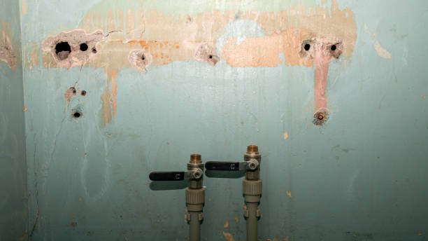 Best Mold removal after water damage  in Barrington, IL