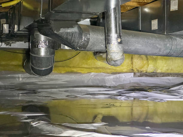 Best Local water damage restoration  in Barrington, IL