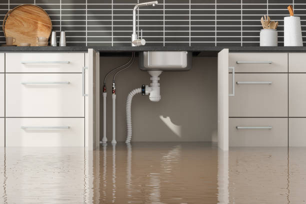 Barrington, IL Water damage restoration Company